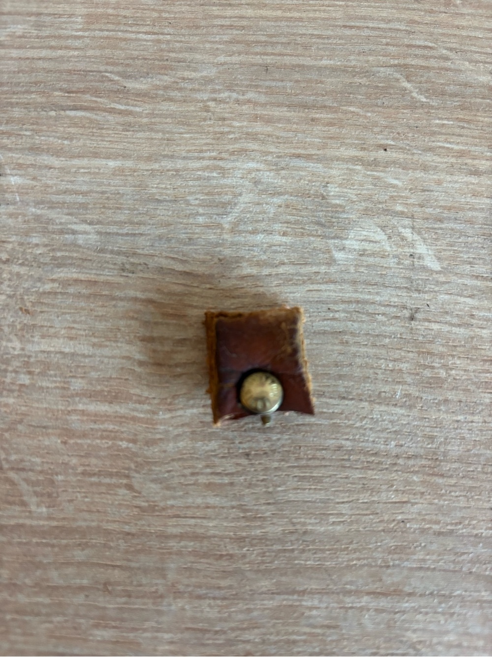 Authentic Louis Vuitton rivet